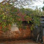 Making of Kas di Bara (house of stones, mud, twigs and clay)