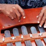 Playing the marimba